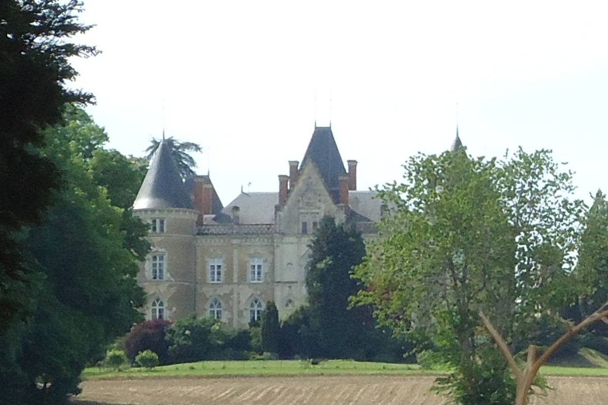 Photo de Château de la Roche-Mailly