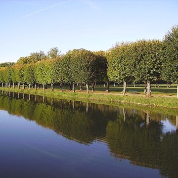 Château de la Motte-Tilly
