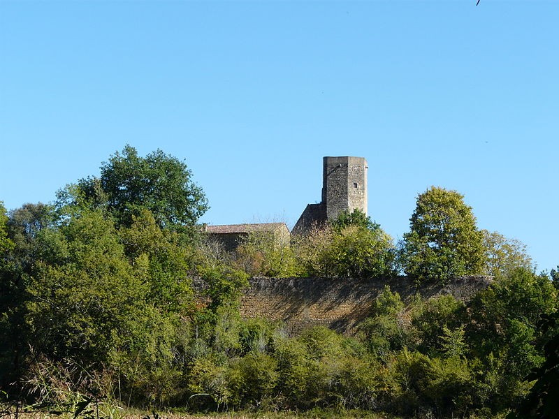 Photo de Château de la Rue à Lalinde
