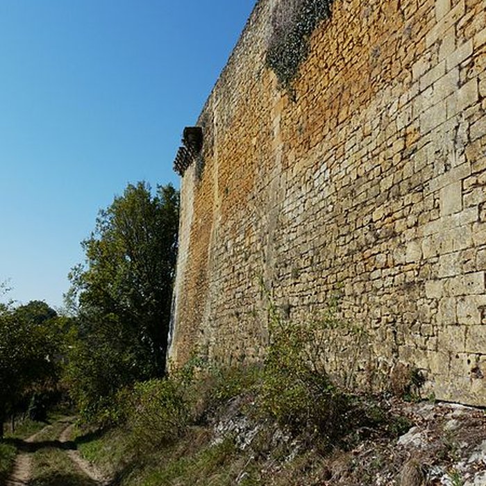 Photo de Château de la Rue à Lalinde