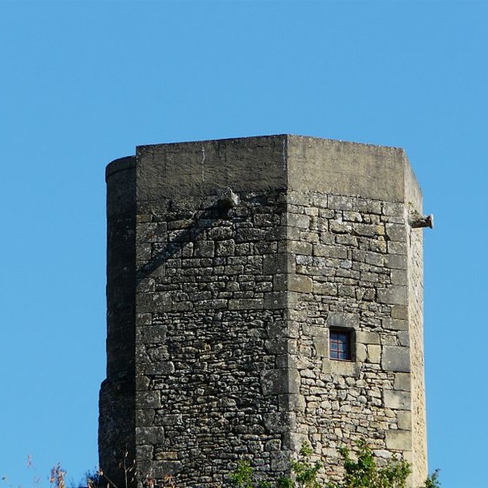 Photo de Château de la Rue à Lalinde