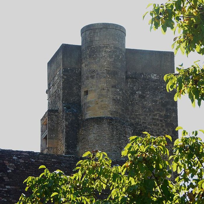 Photo de Château de la Rue à Lalinde