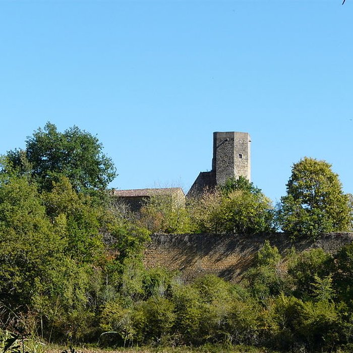 Photo de Château de la Rue à Lalinde