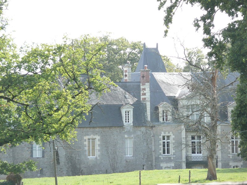 Photo de Château de La Saulaie