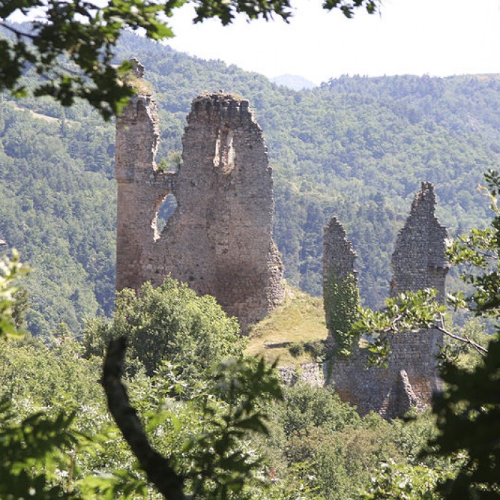 Photo de Château de La Tourette à Vernoux-en-Vivarais