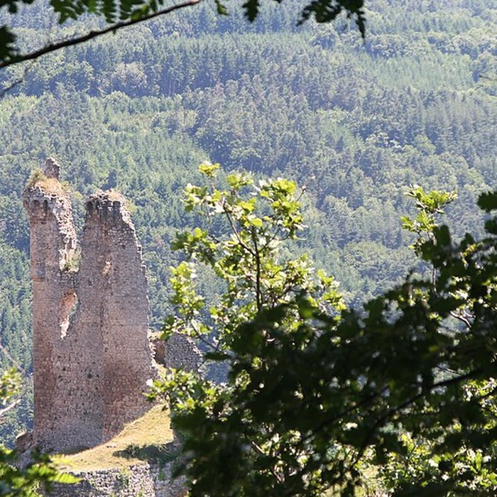 Photo de Château de La Tourette à Vernoux-en-Vivarais