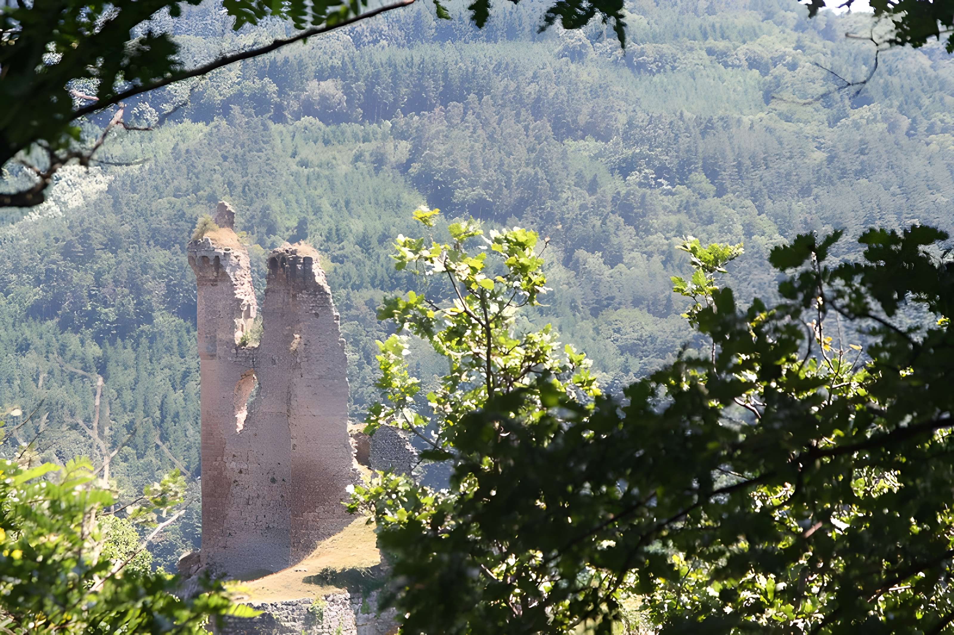 Château de La Tourette à Vernoux-en-Vivarais