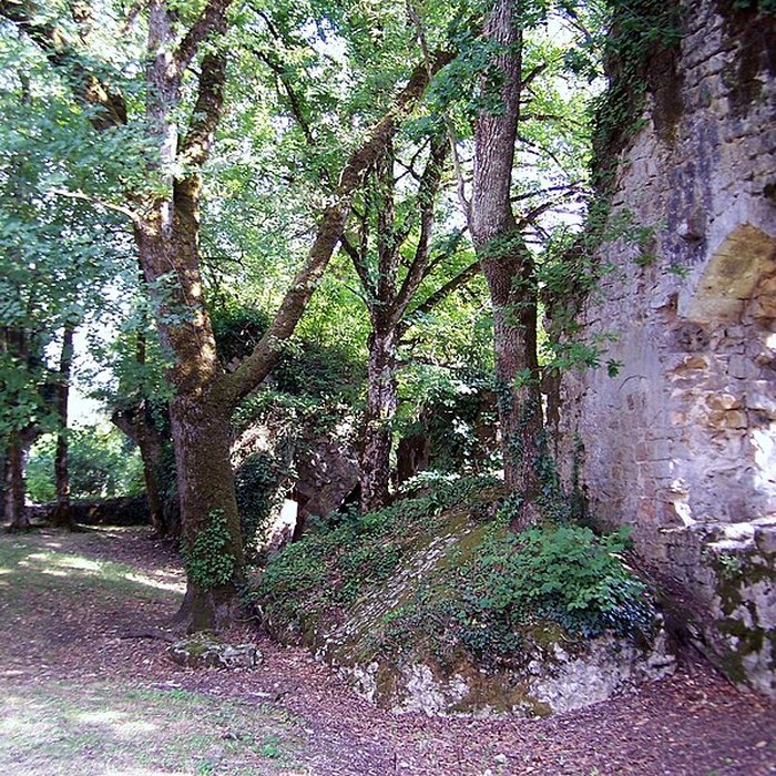 Photo de Château de la Trave