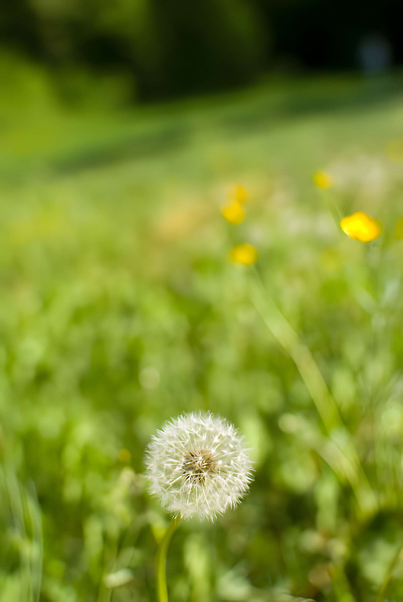 Château de la Trolanderie