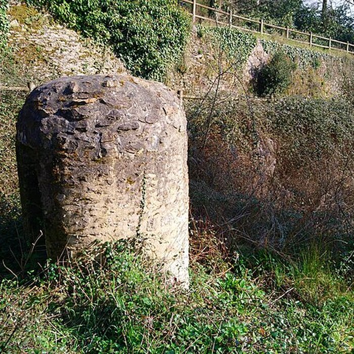 Photo de Château de la Turmelière