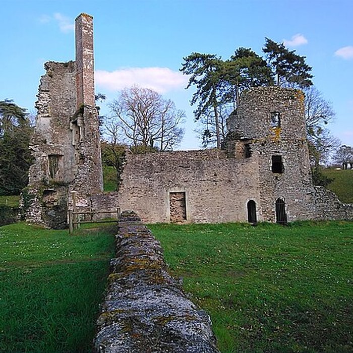 Photo de Château de la Turmelière
