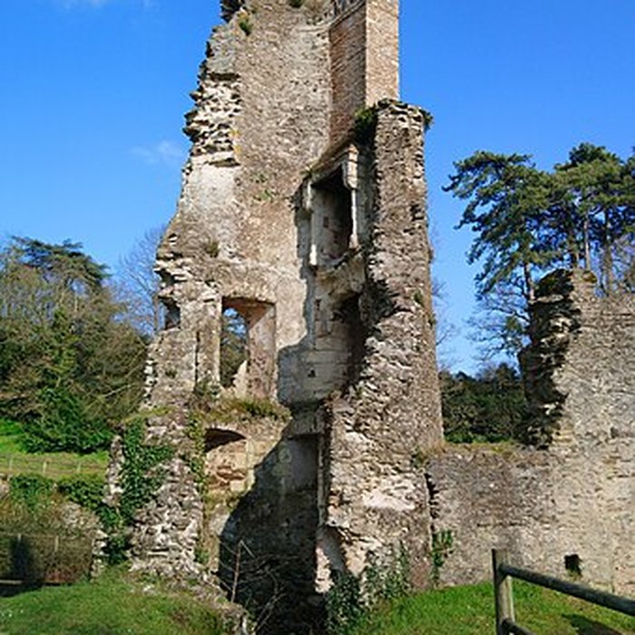 Photo de Château de la Turmelière
