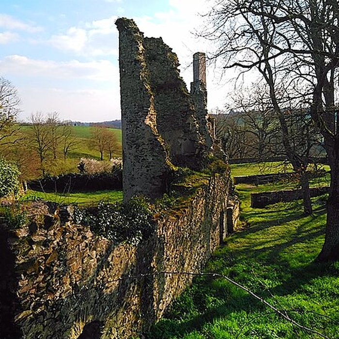 Photo de Château de la Turmelière