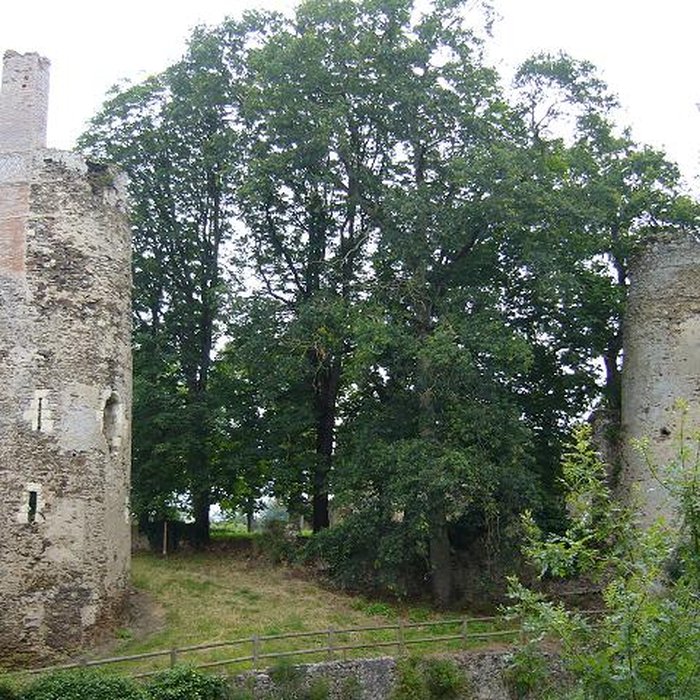 Photo de Château de la Turmelière