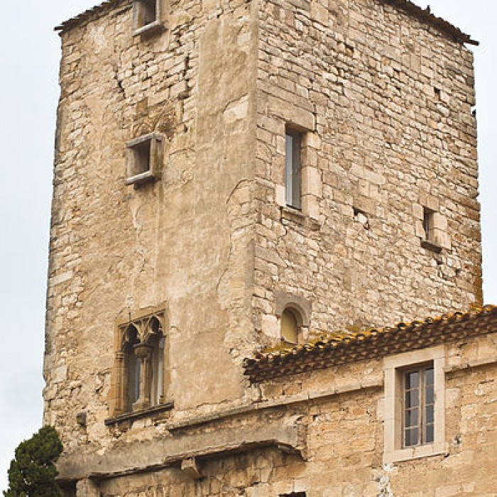 Photo de Château de lAbbé 