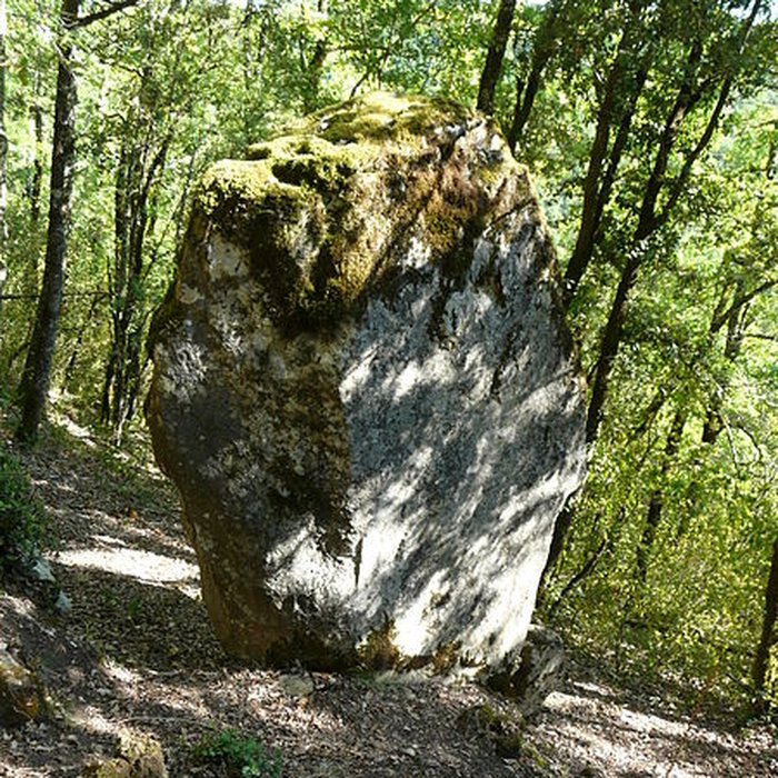 Photo de Château de Lacoste à Castelnaud-la-Chapelle