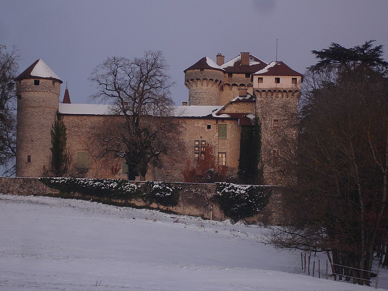 Photo de Château de la Poype de Serrières