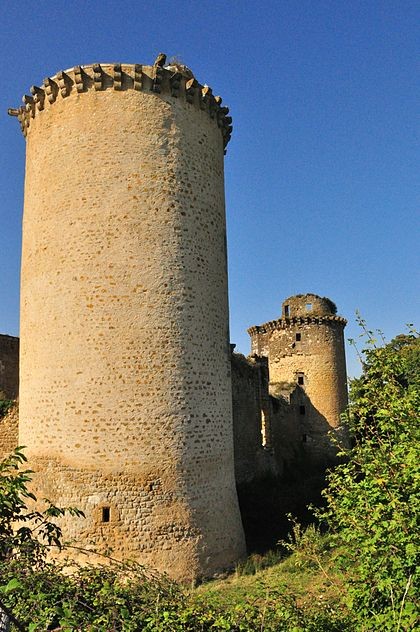 Photo de Château de la Prune-au-Pot