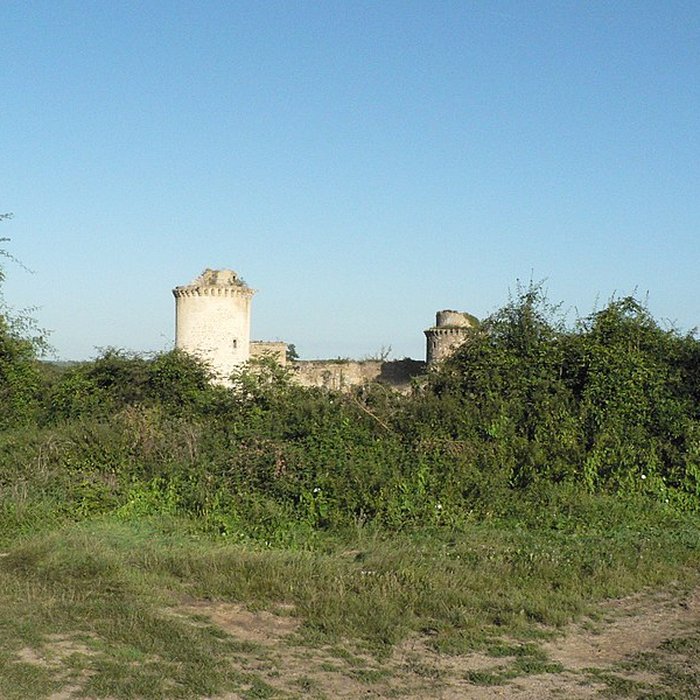 Photo de Château de la Prune-au-Pot