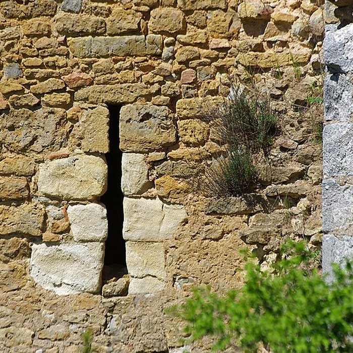 Photo de Château de la Prune-au-Pot