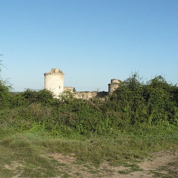 Château de la Prune-au-Pot