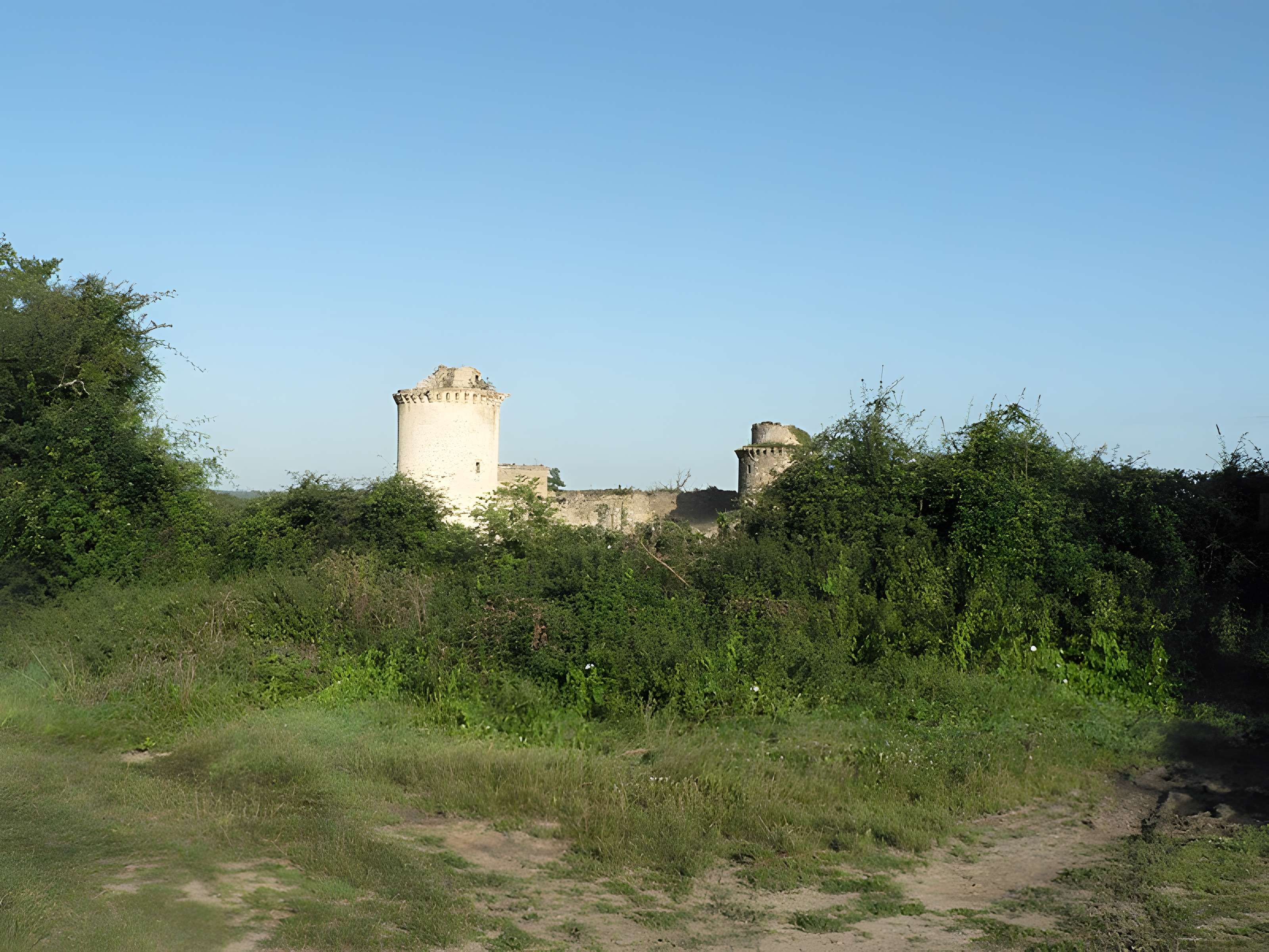 Château de la Prune-au-Pot