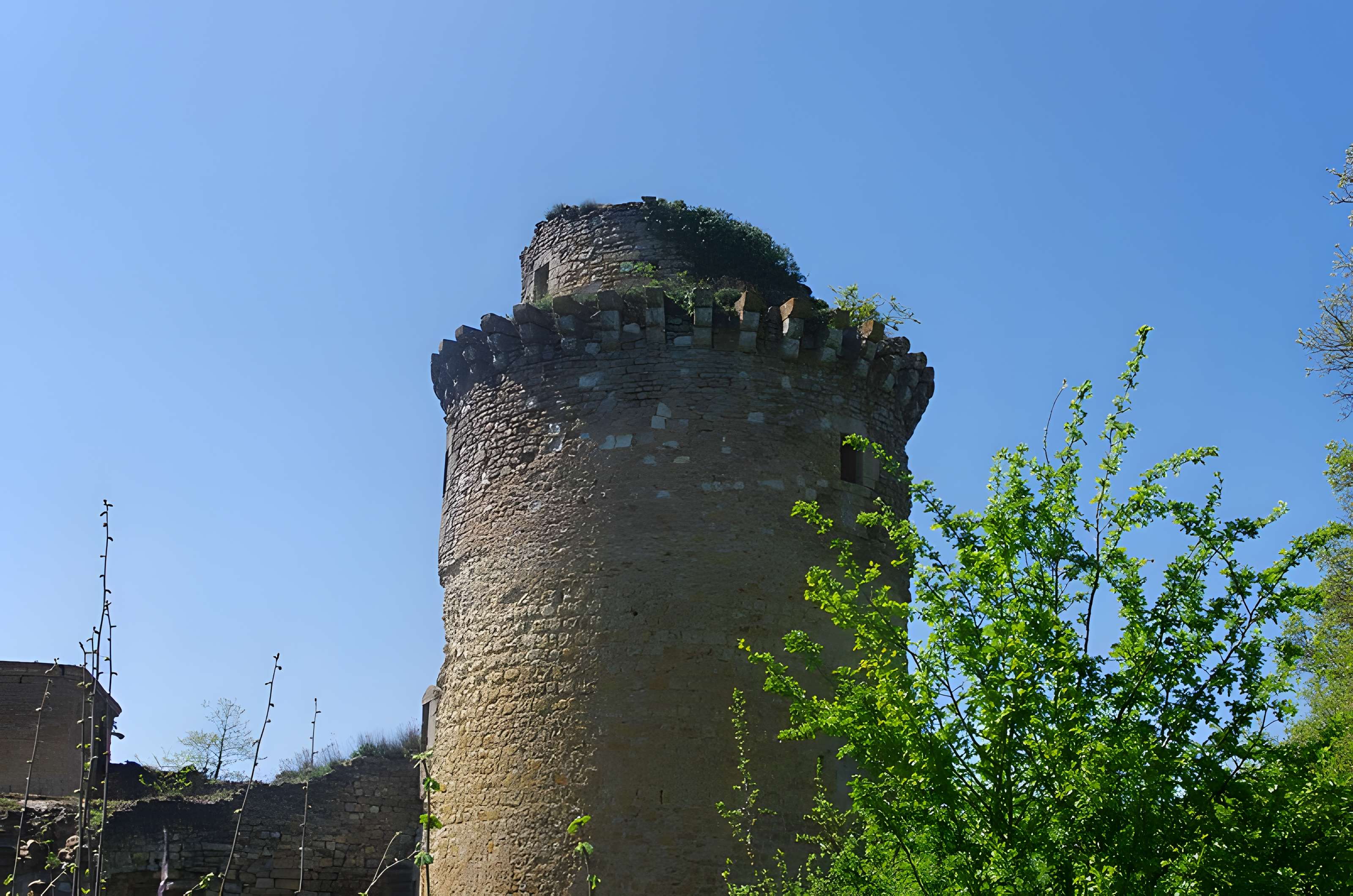Château de la Prune-au-Pot