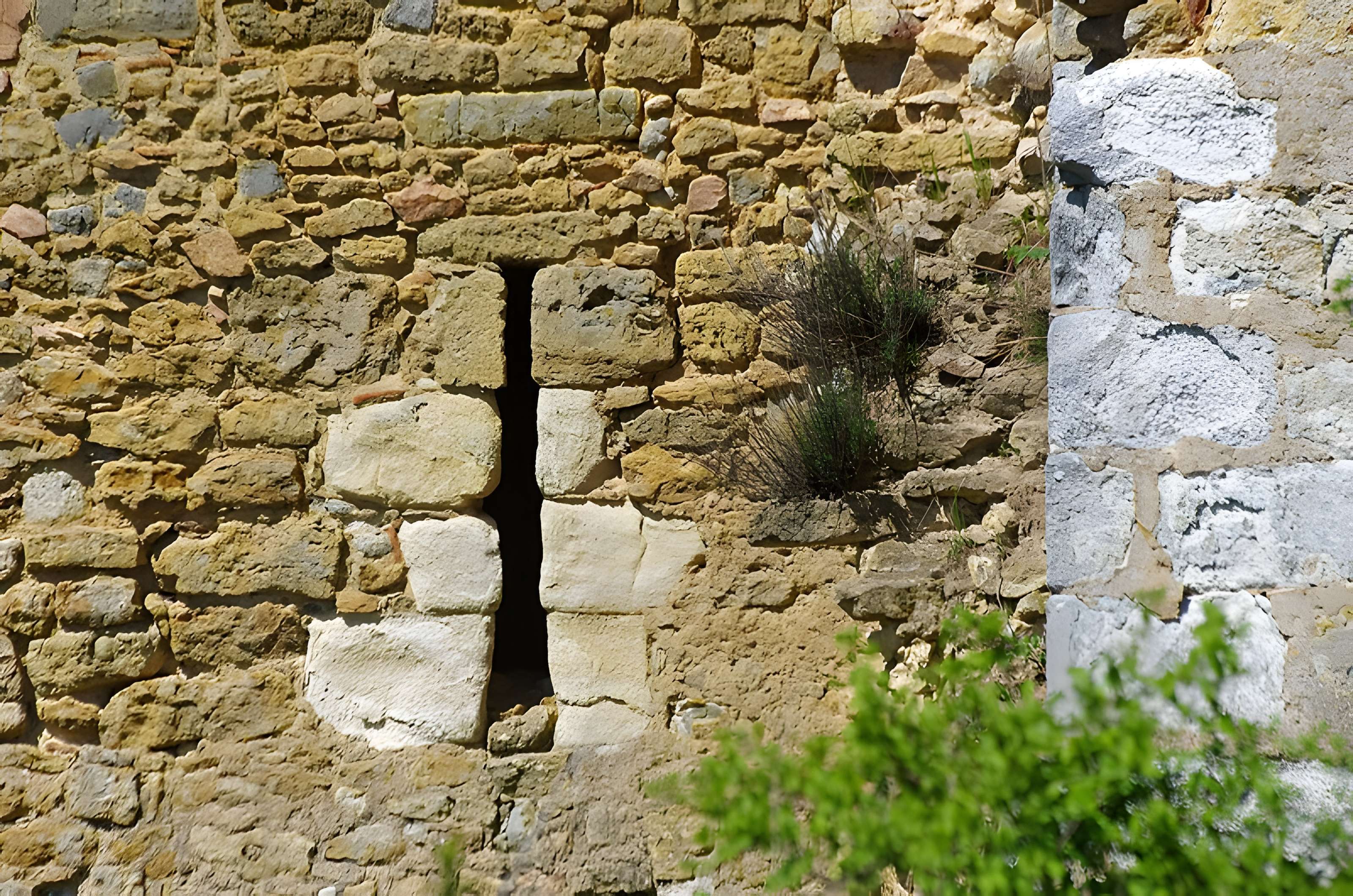 Château de la Prune-au-Pot