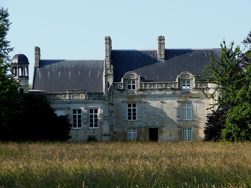 Photo de Château de Lasson