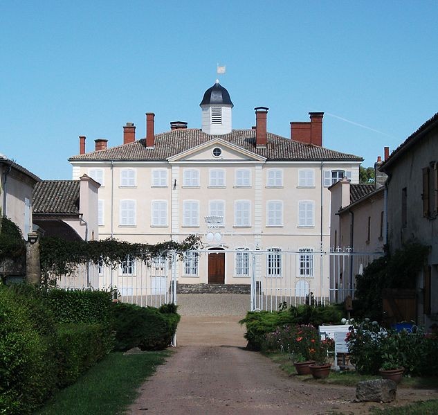 Photo de Château de Laye