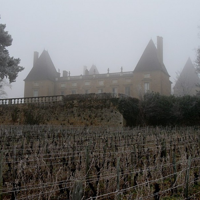Photo de Domaine du château de Layé et du Vieux-Château