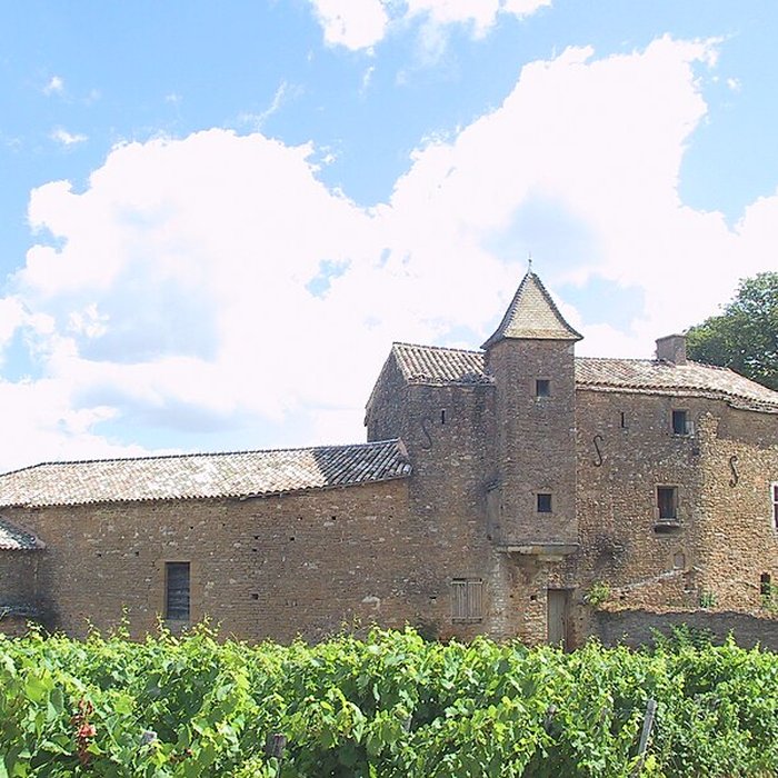 Photo de Domaine du château de Layé et du Vieux-Château