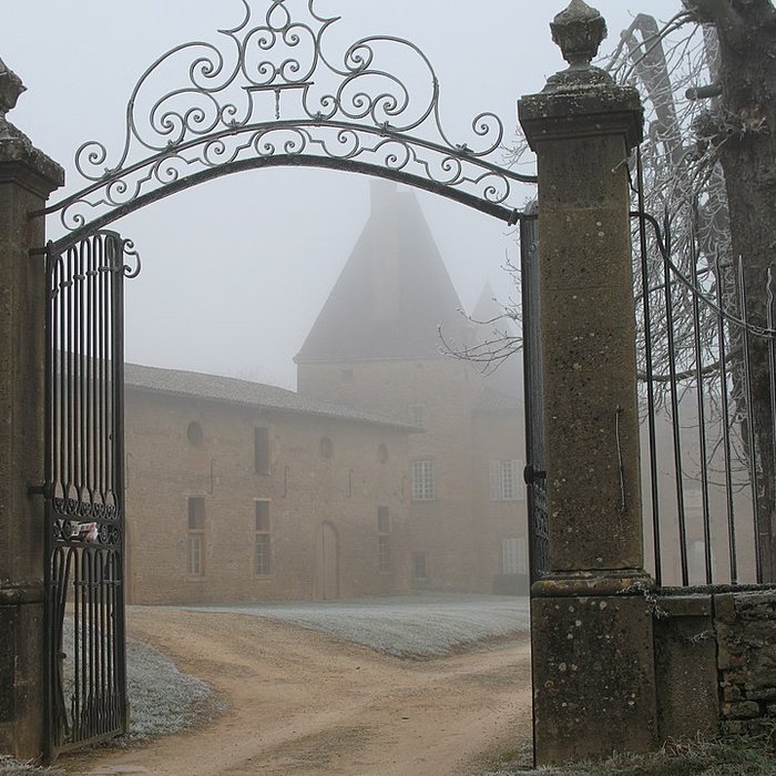 Photo de Domaine du château de Layé et du Vieux-Château