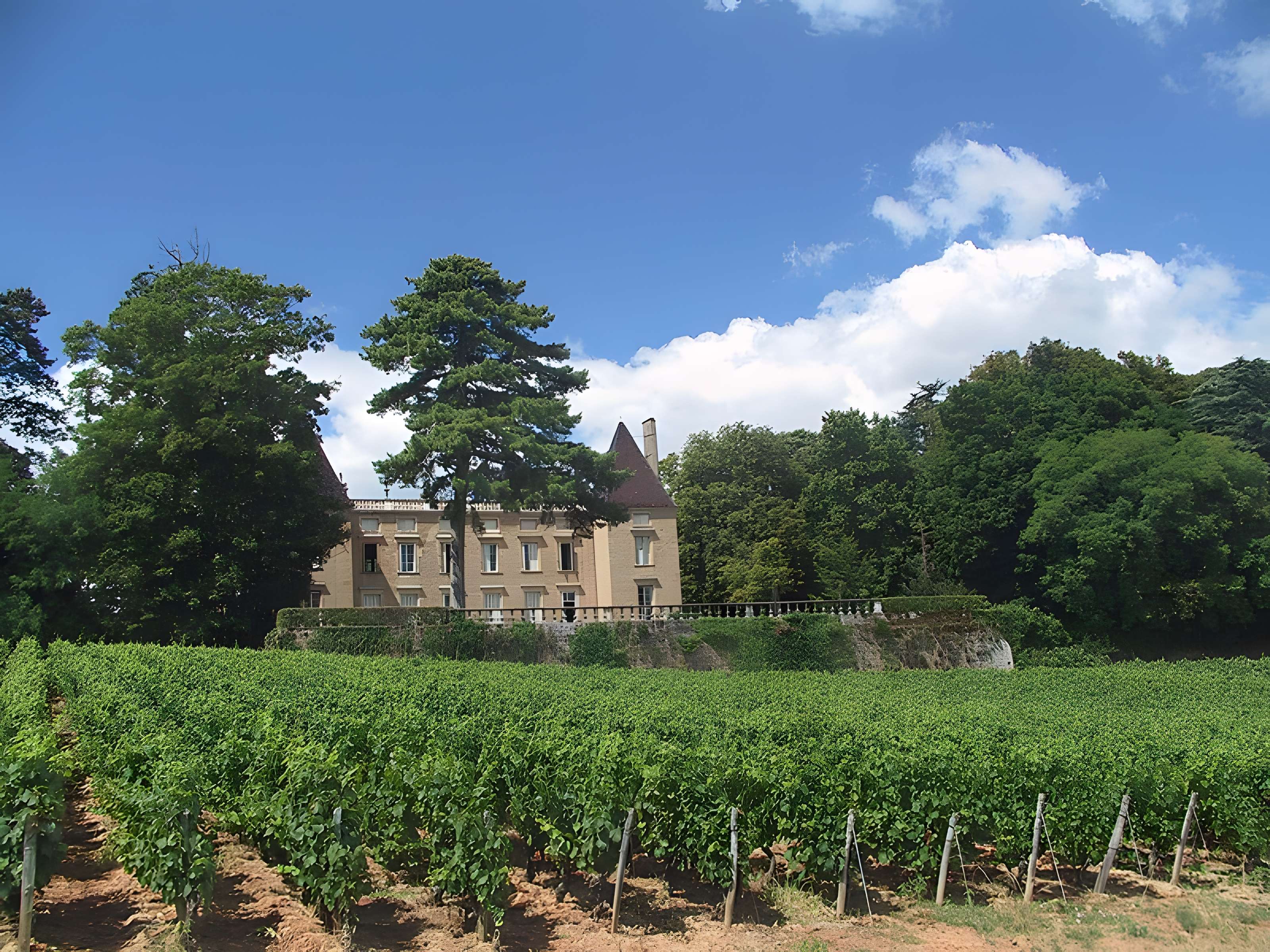 Domaine du château de Layé et du Vieux-Château