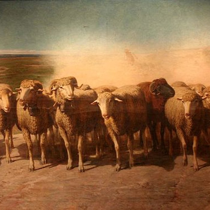 Photo de Château de lEmpéri