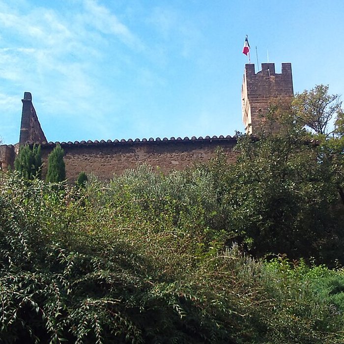Photo de Château de lEmpéri