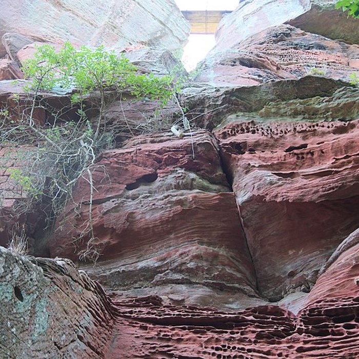 Photo de Château de Loewenstein