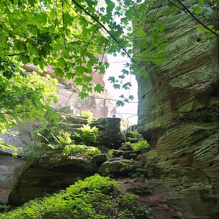 Photo de Château de Loewenstein