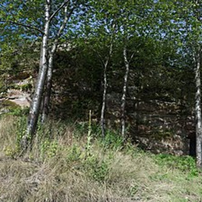 Photo de Château de Loewenstein