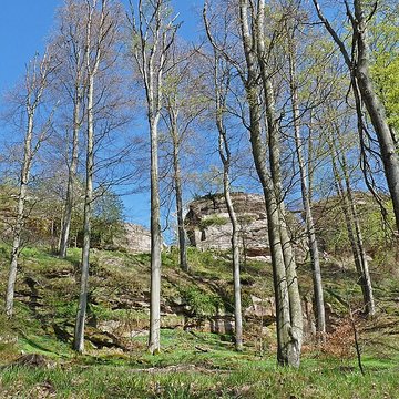 Château de Loewenstein