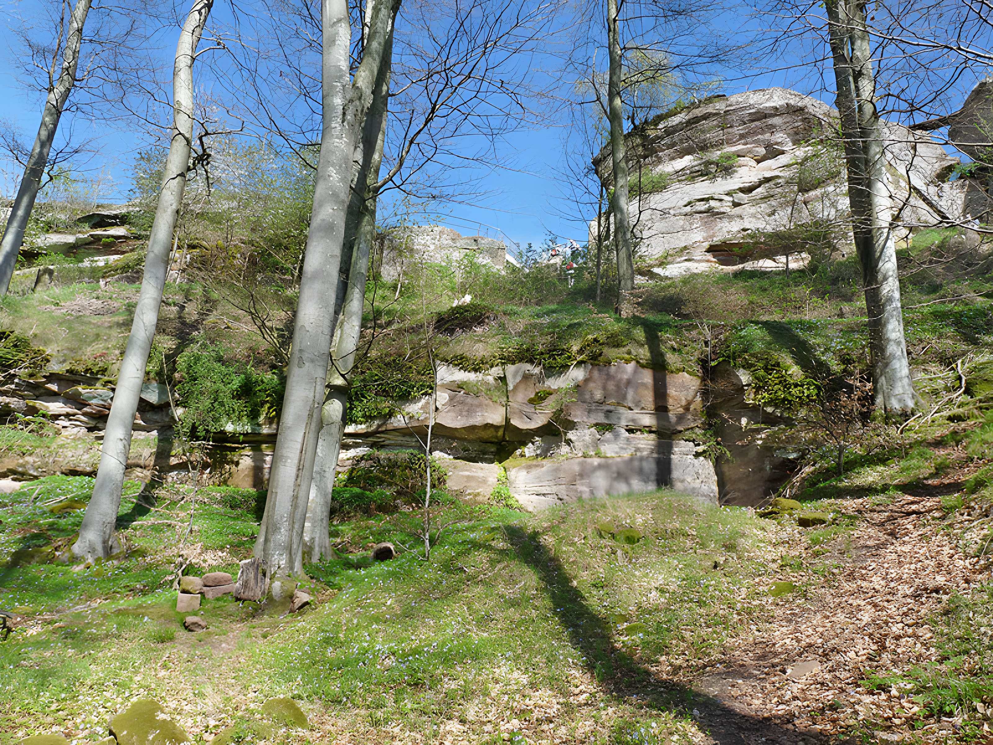 Château de Loewenstein