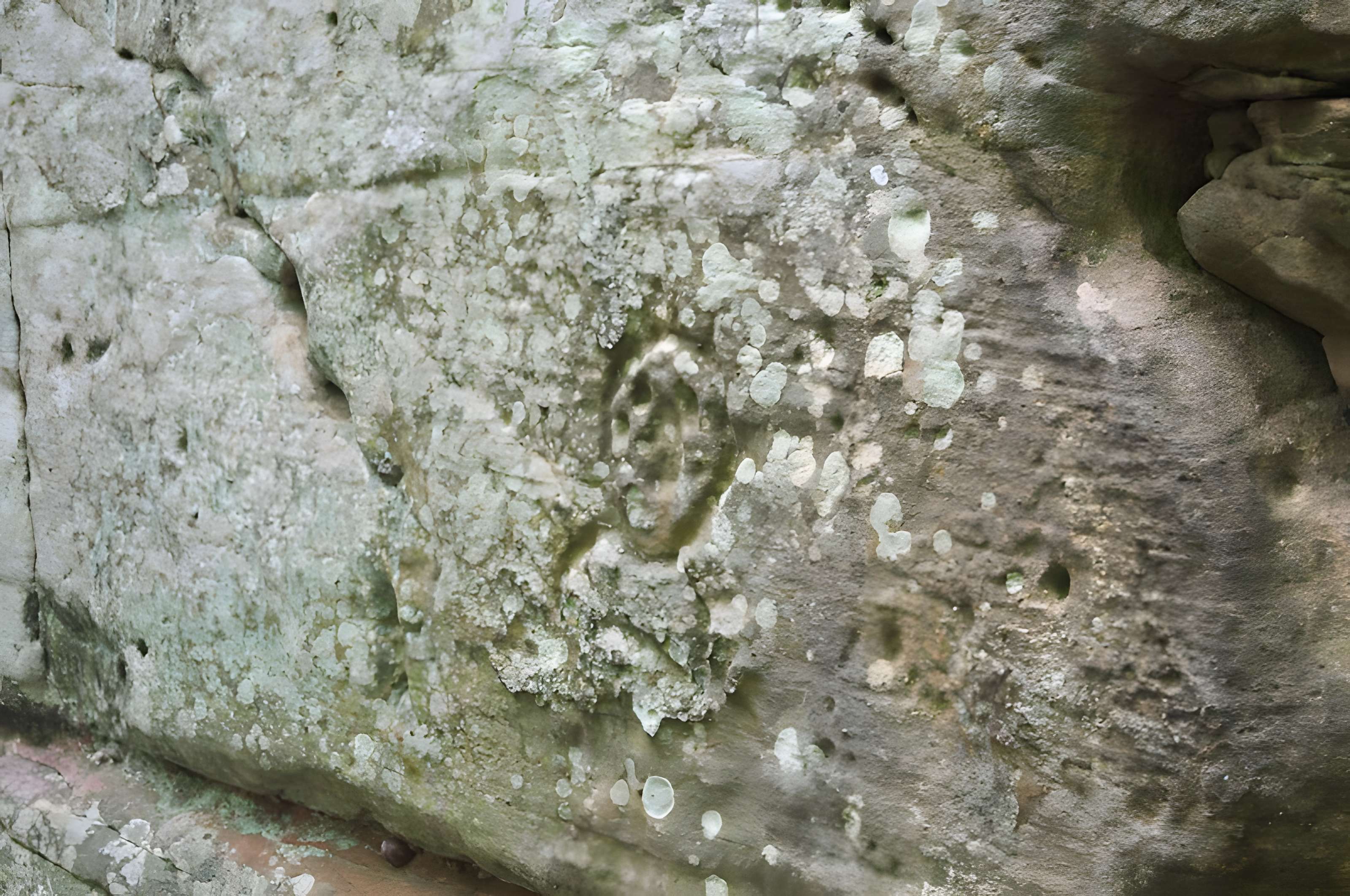 Château de Loewenstein