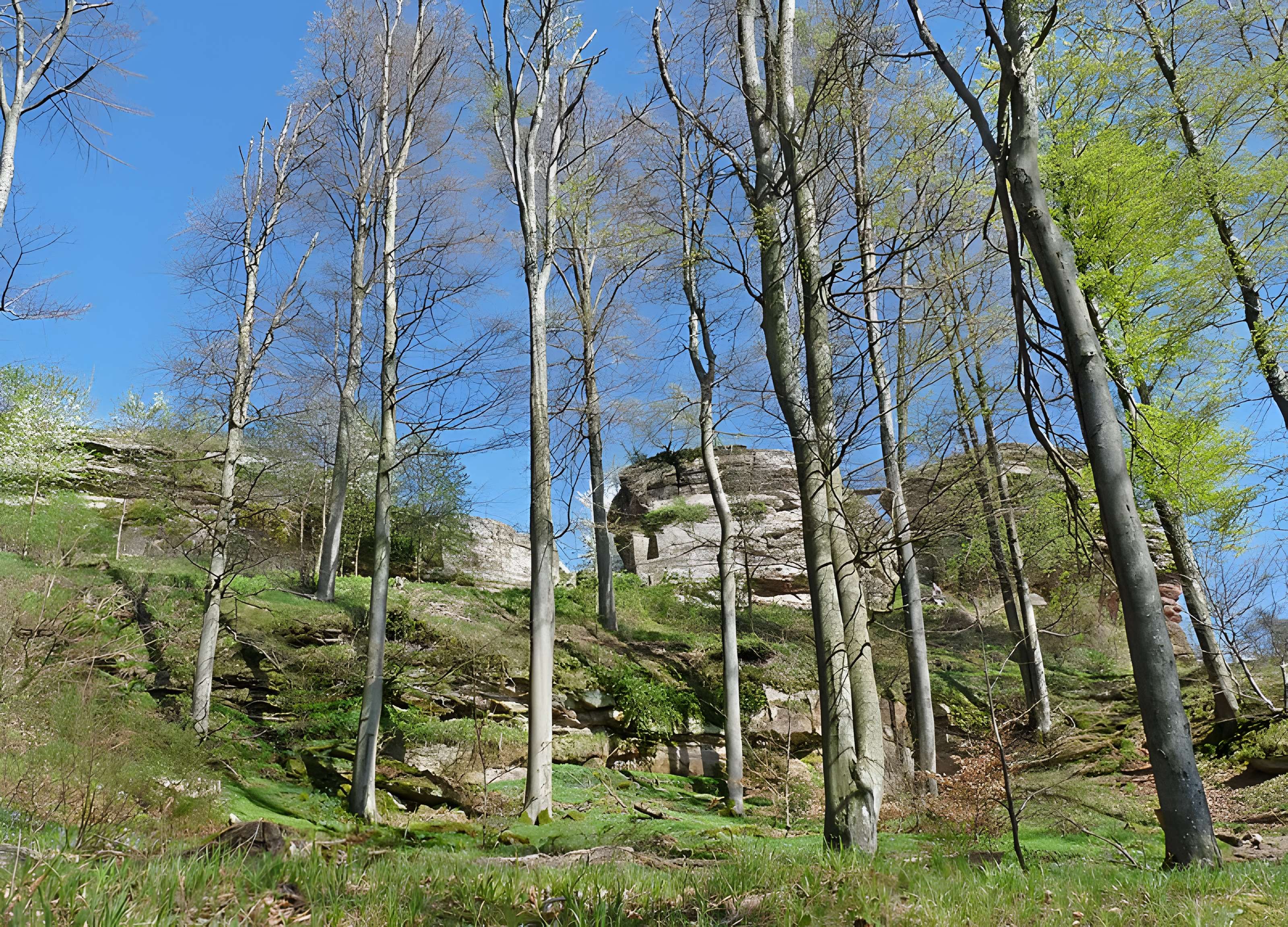 Château de Loewenstein