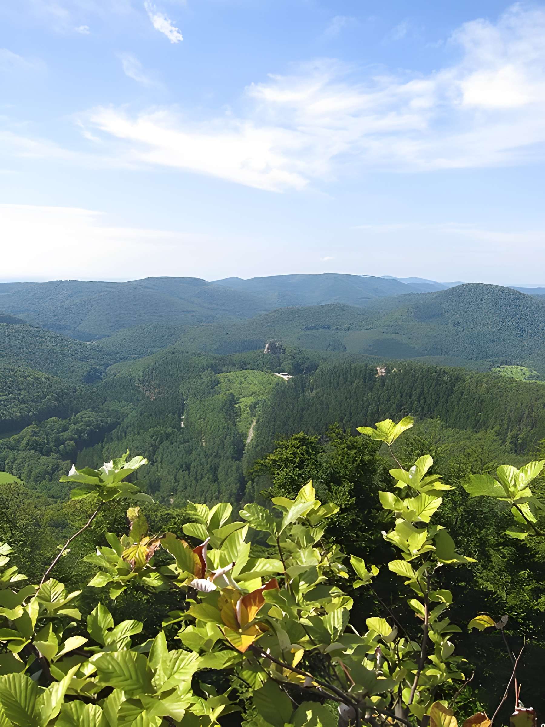 Château de Loewenstein