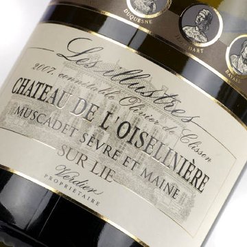 Château de lOiselinière