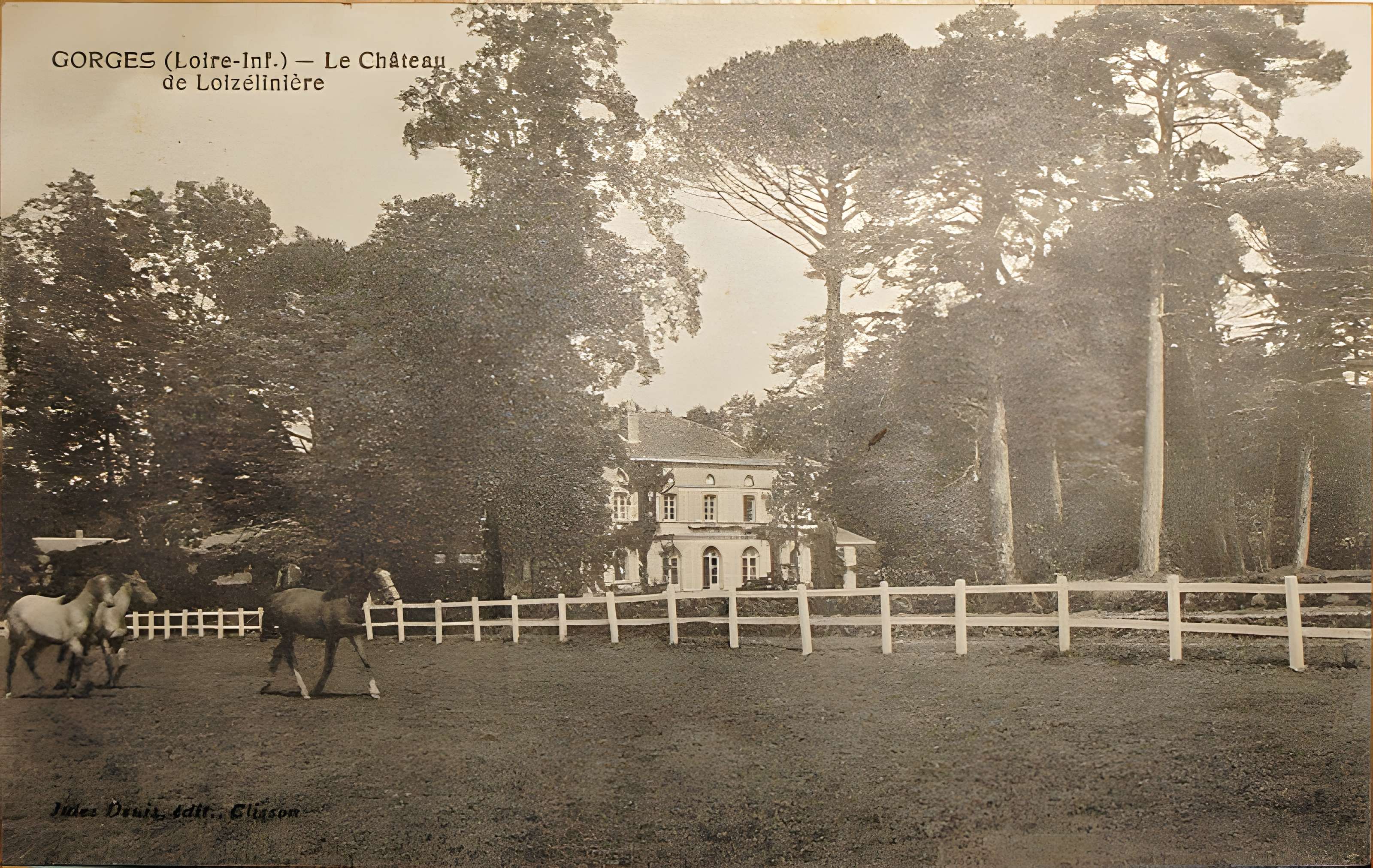 Château de l'Oiselinière
