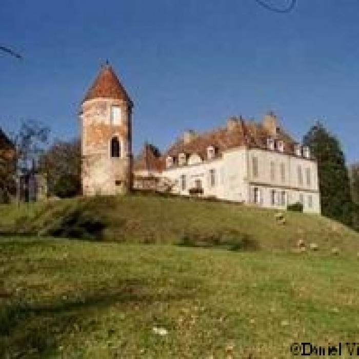Photo de Château de Loisy