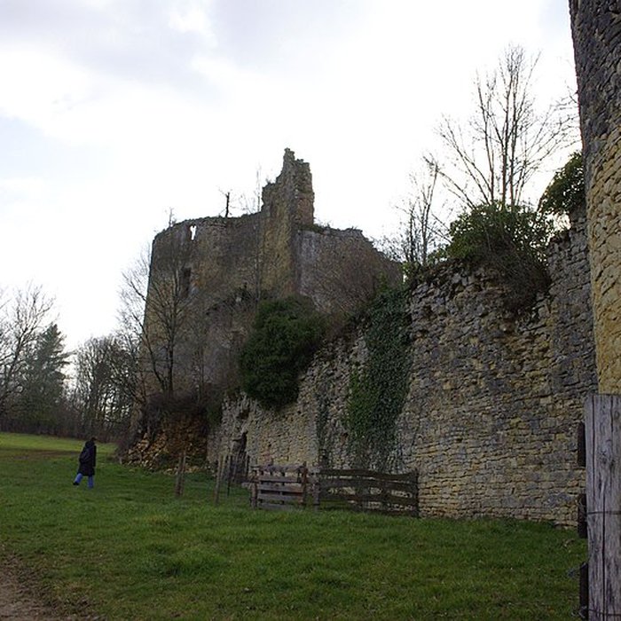 Photo de Château de la Renaudie