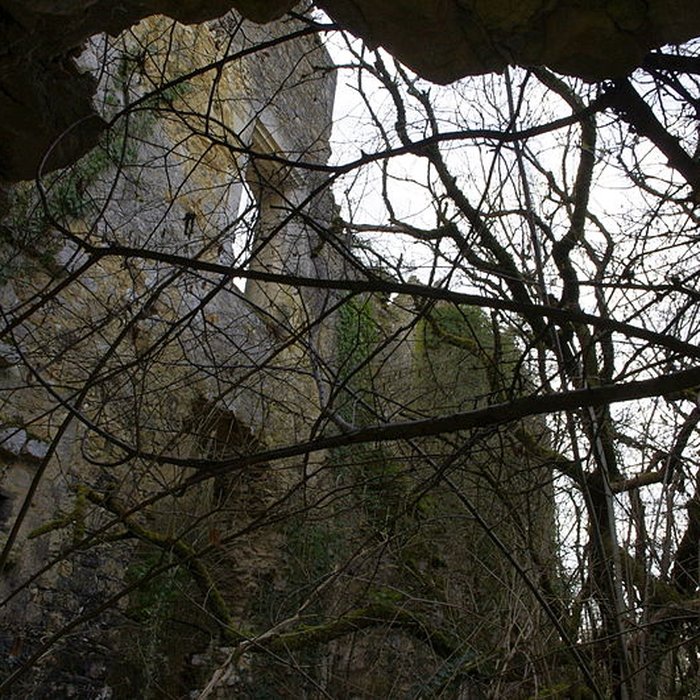Photo de Château de la Renaudie