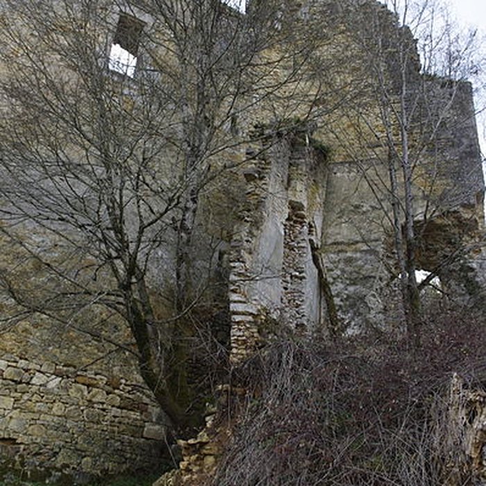 Photo de Château de la Renaudie